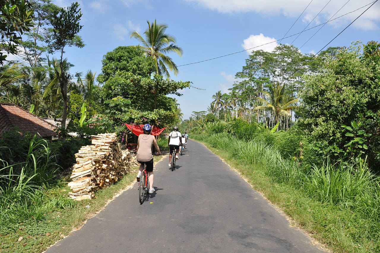  Bildansicht Reiseführer  Schöne Radtouren rund um Ubud