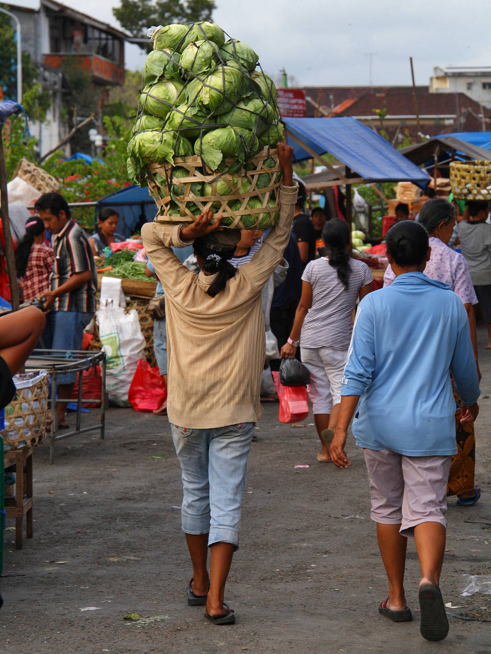  Impressionen Reiseführer  Bali 