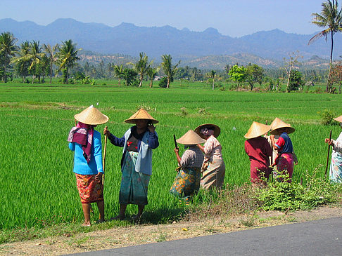  Ansicht Attraktion  Bali 