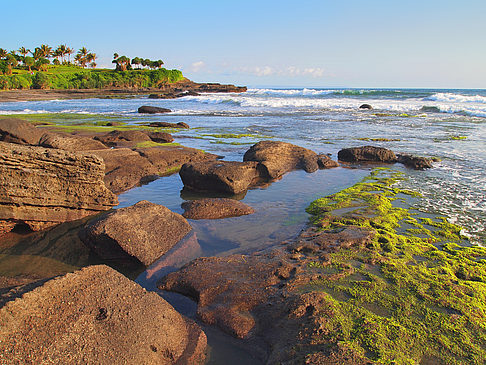 Nationalpark Bali Barat Impressionen Attraktion  