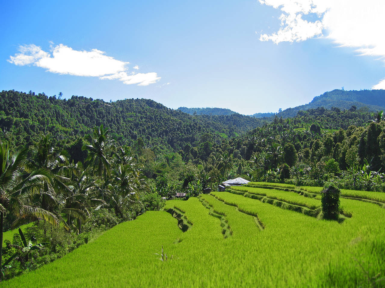 Fotos Semarapura | Padangbai