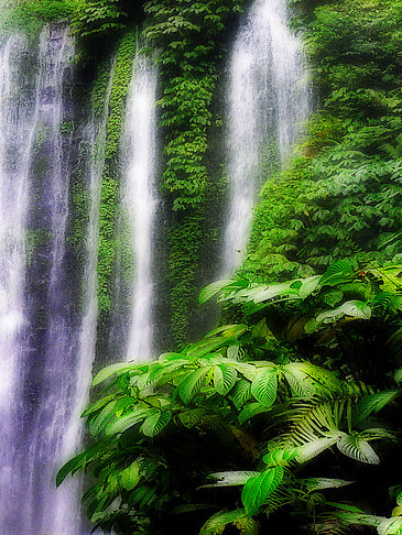 Senaru - Bali ()